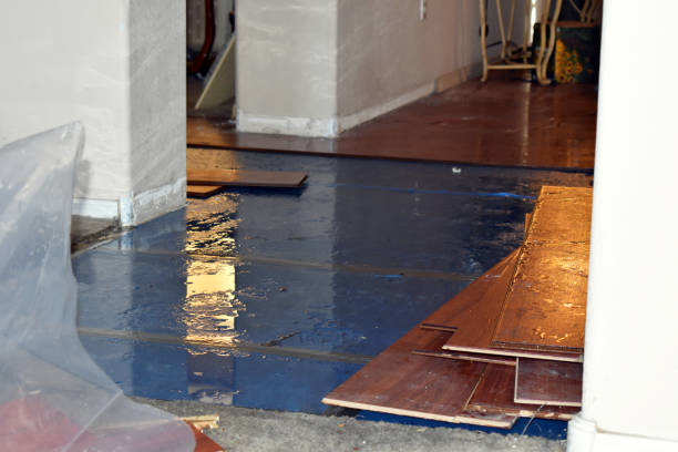 Professional Sewage Cleanup technician working in Manchester, IA